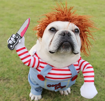 Chucky Dog Costume